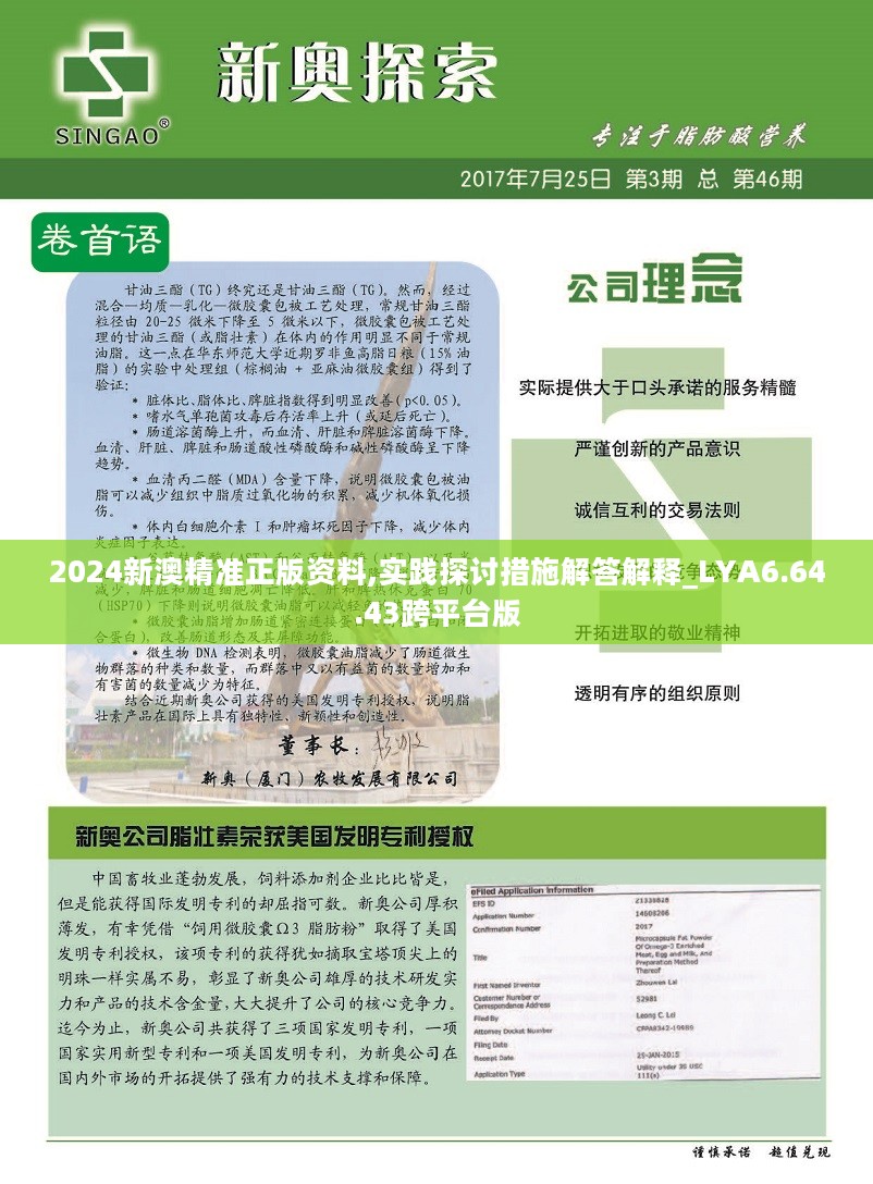 2025新澳正版资料，构建解答解释落实_i512.68.241.0