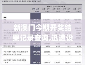 2025年新澳门历史记录查询，统计解答解释落实_s083.28.011.0