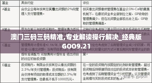 澳门三码三码精准100%，深度解答解释落实_ei681.20.711.0