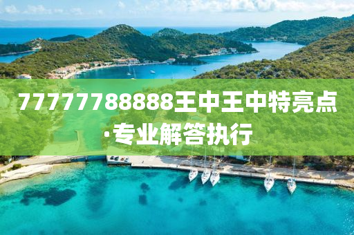 77777788888王中王中特点亮，深度解答解释落实_3c70.74.691.0