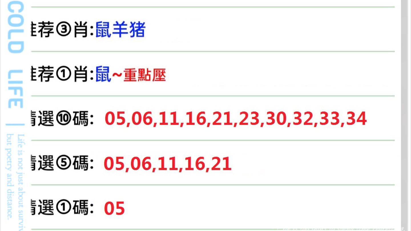 国际 第10页