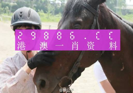 澳门一肖一码一特一挂，综合解答解释落实_tqy78.27.331.0