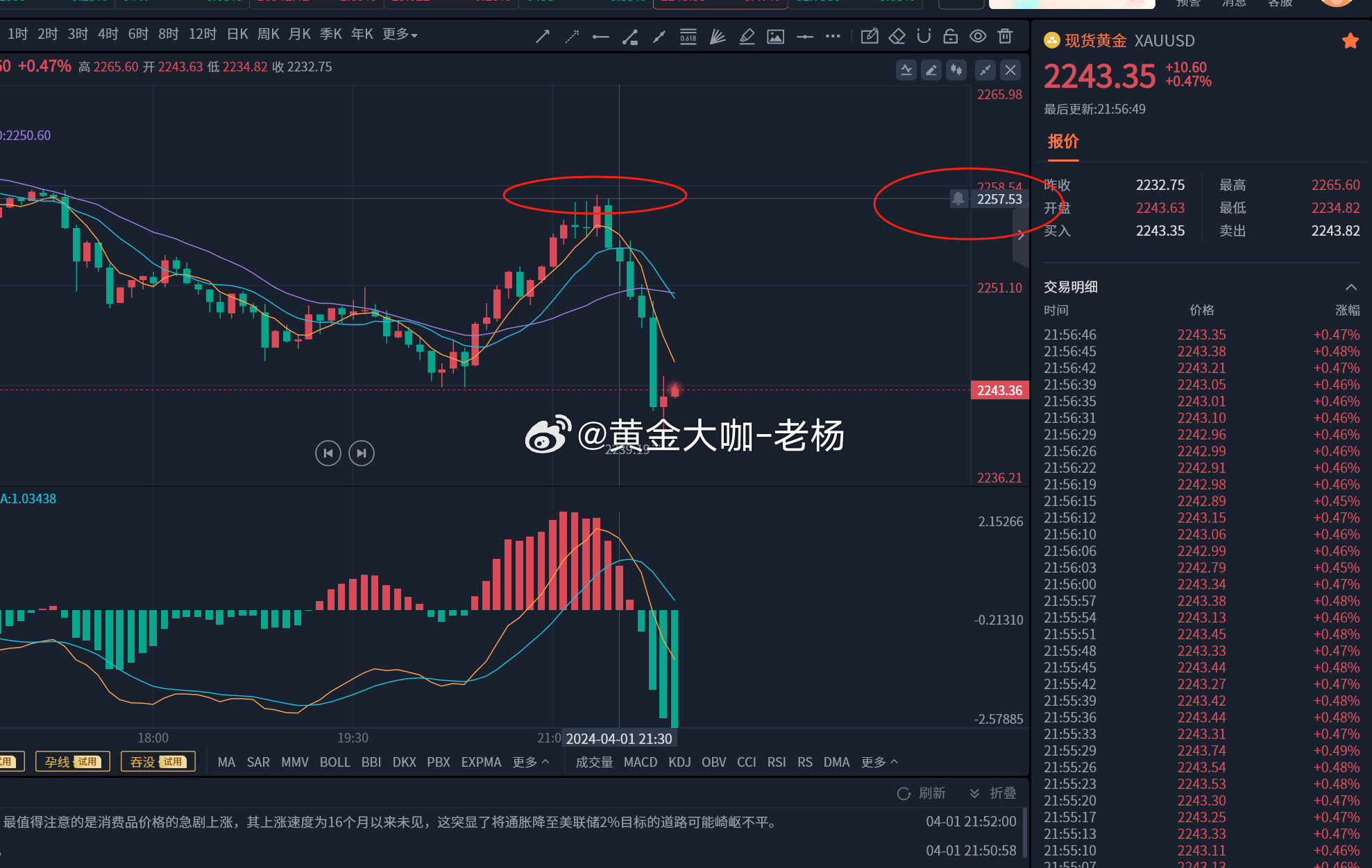 一码中持一一肖一码，深度解答解释落实_xv72.87.791.0